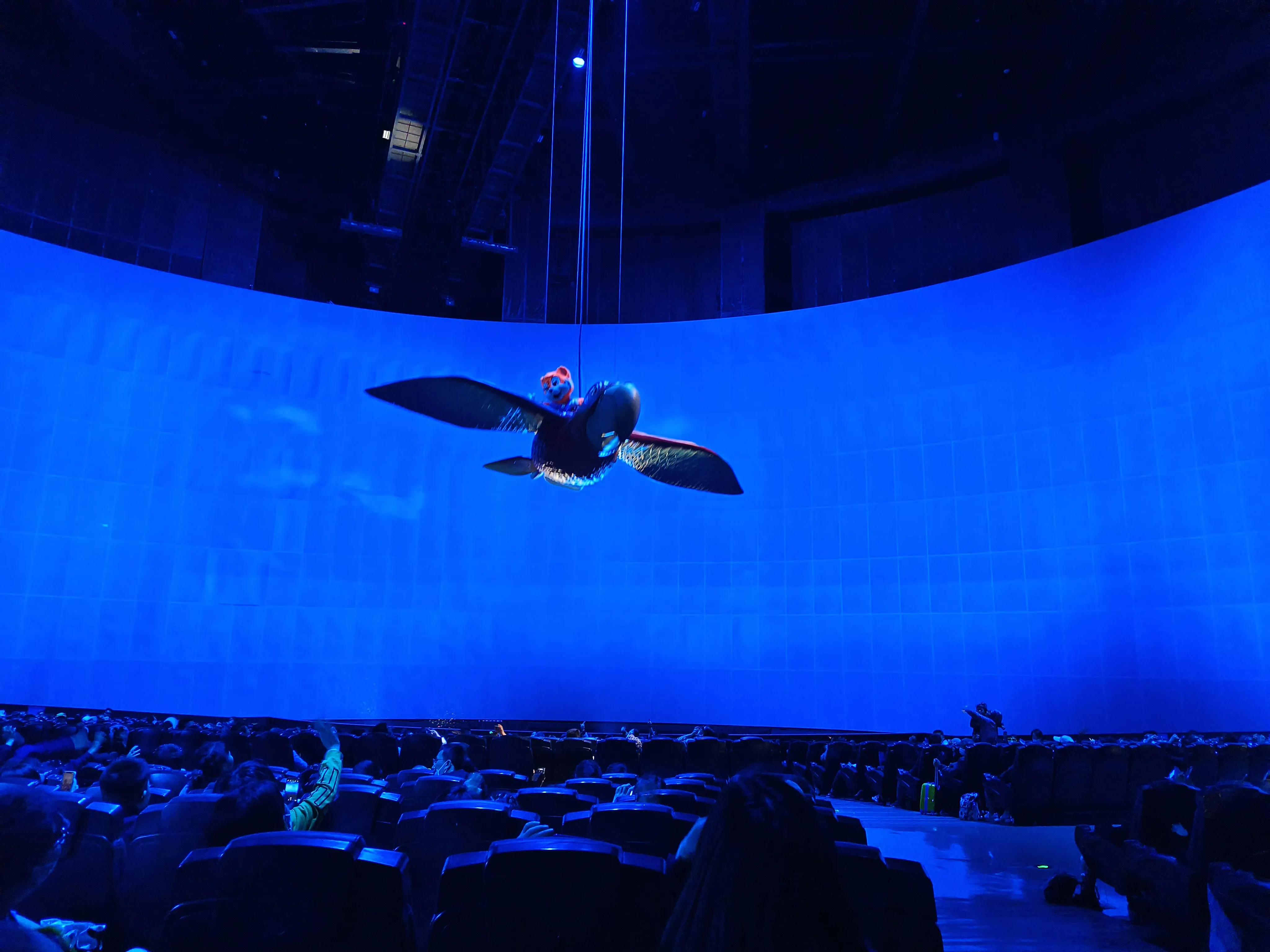 珠海长隆游记一日游,自驾珠海长隆三天两晚