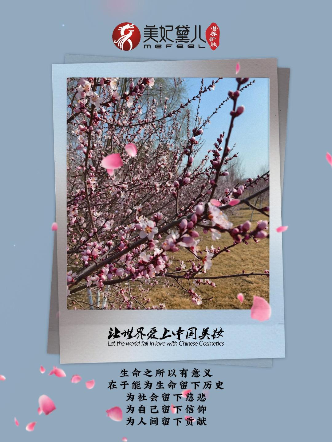 美妃黛儿：同向春风绽