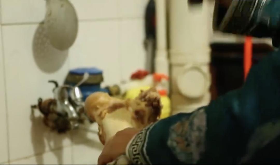 感动到哭的少儿小视频,能让人哭的小视频