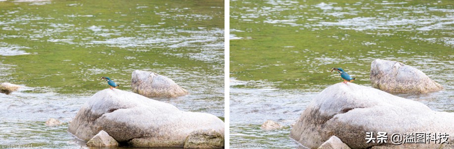 eosr7微单详细测评,佳能r7这款相机真的是值得买吗