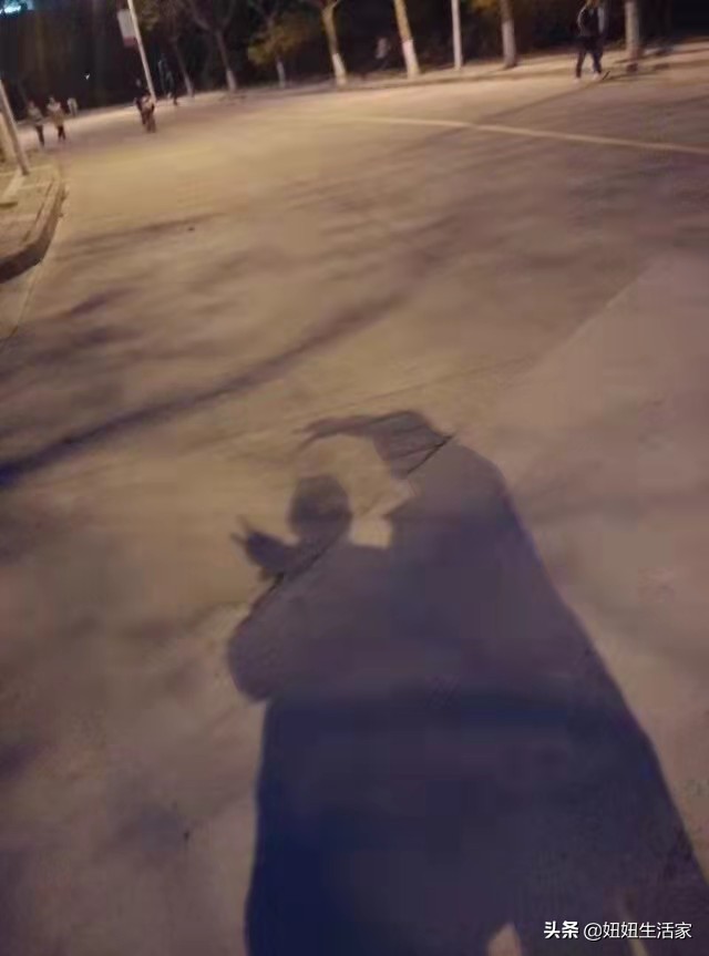 平凡却不失浪漫的爱情,平凡的爱情却总那么细腻