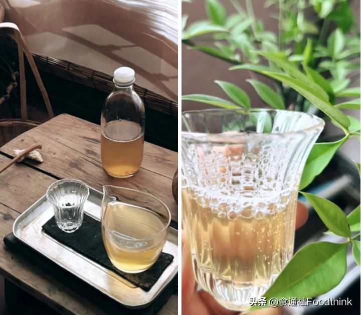 流动的菌种，交织的人：如果我们的语言是康普茶