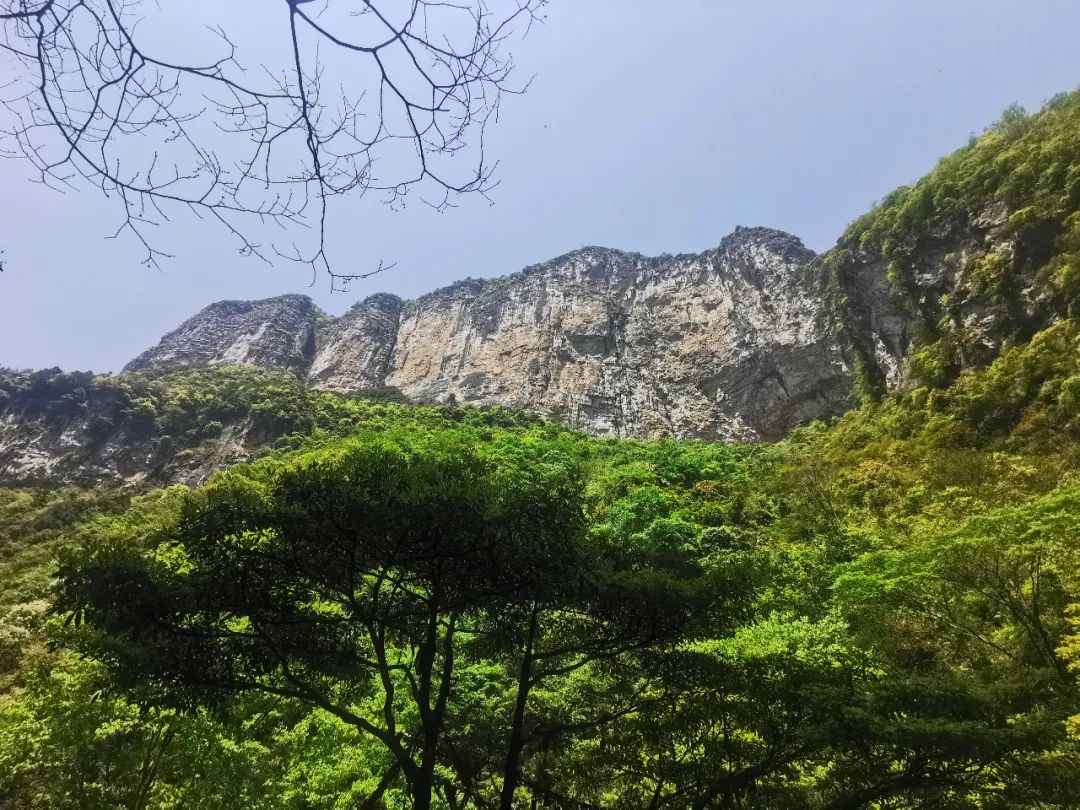 重庆璀璨明珠美景图,重庆涪陵美景