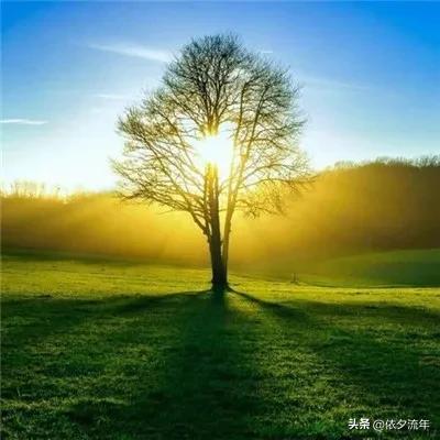 杨绛先生经典语录关于婚姻,杨绛先生经典语录关于父母