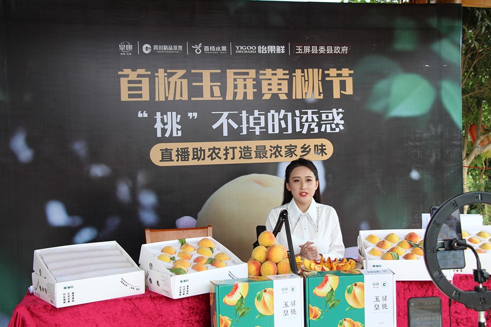 开水果店加盟连锁店,小型水果加盟品牌推荐