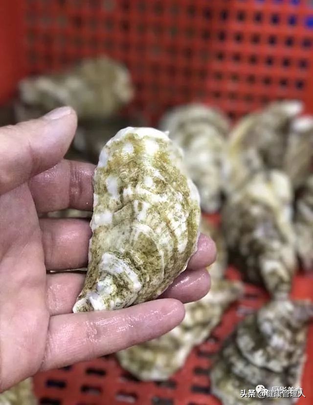 世界顶级海鲜食材,世界顶级的海鲜视频