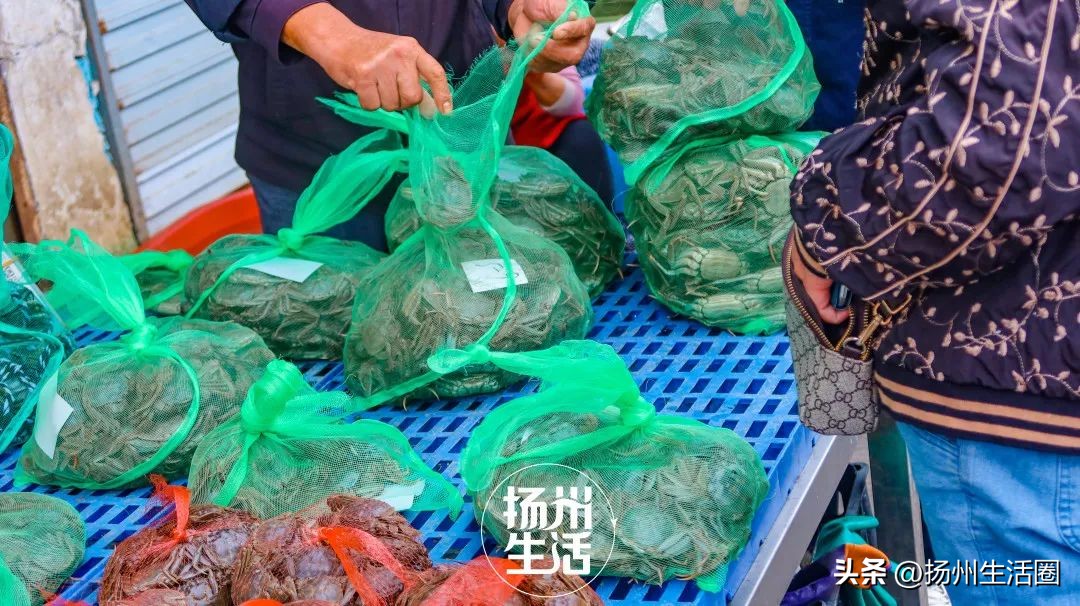 不吃一顿螃蟹，扬州人过不好这个秋天