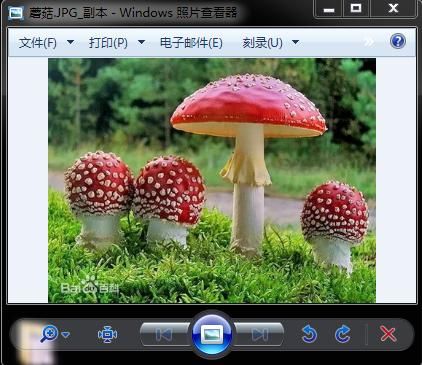 webp图片是什么格式,webp格式的图片用什么软件看