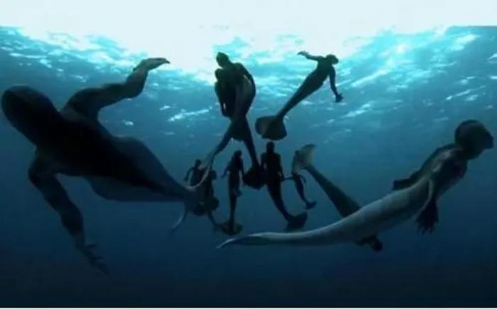 裸体的猿！人类褪去毛发为何没冻死？只留下*处私**头顶毛发有啥用？