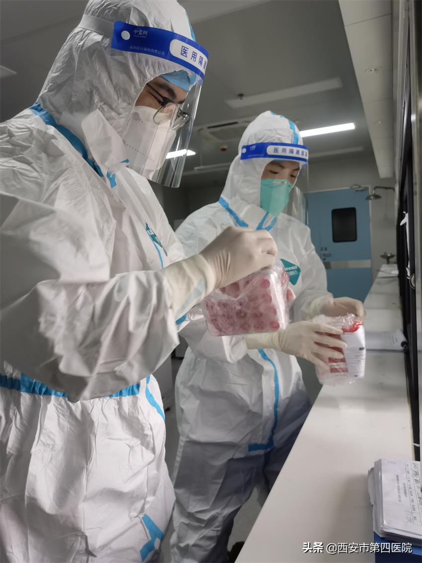 健康中国全民抗疫,秦岭四宝抗疫