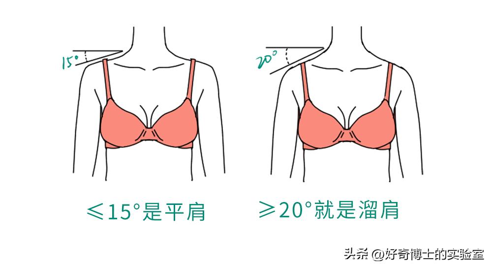 内衣肩带老滑肩,胖女士内衣肩带容易掉