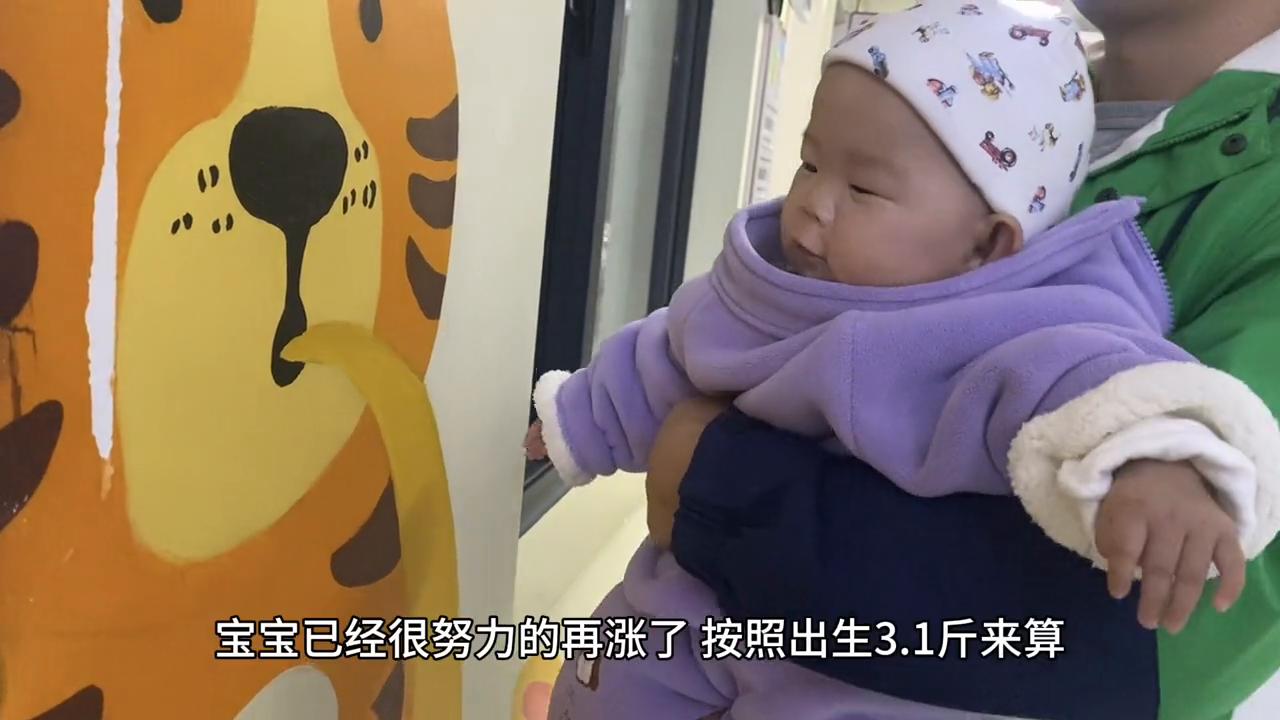 8月龄13斤的宝宝每天都在很努力的成长#记录你的点点滴滴