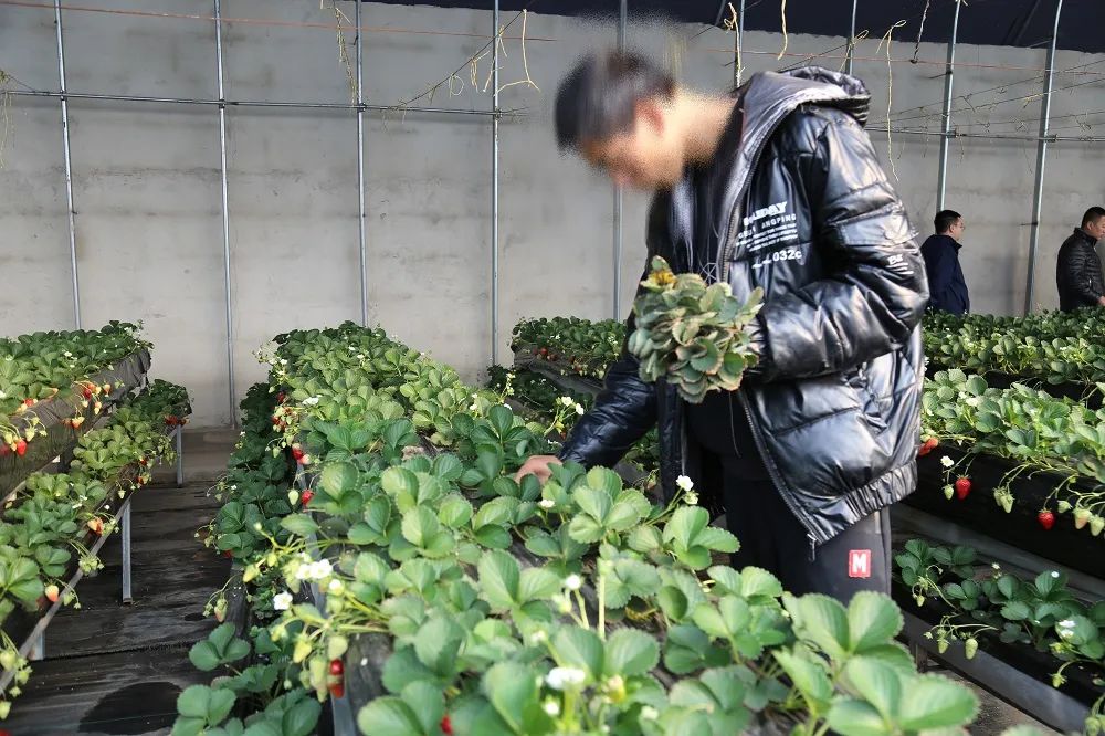 瀹佸崰蹇犳氮瀛愬洖澶翠粖鎴愯嚧瀵屽甫澶翠汉,鏋椾害鍕ゆ氮瀛愬洖澶村涓婅劚璐嚧瀵岃矾