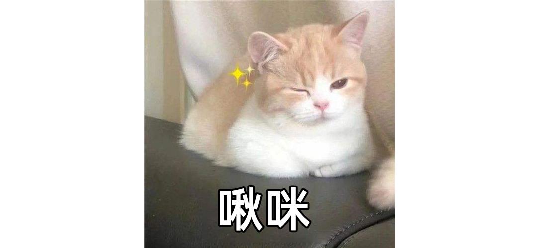 电费超700元？总被二房东坑？大多数人都不知道这些租房套路