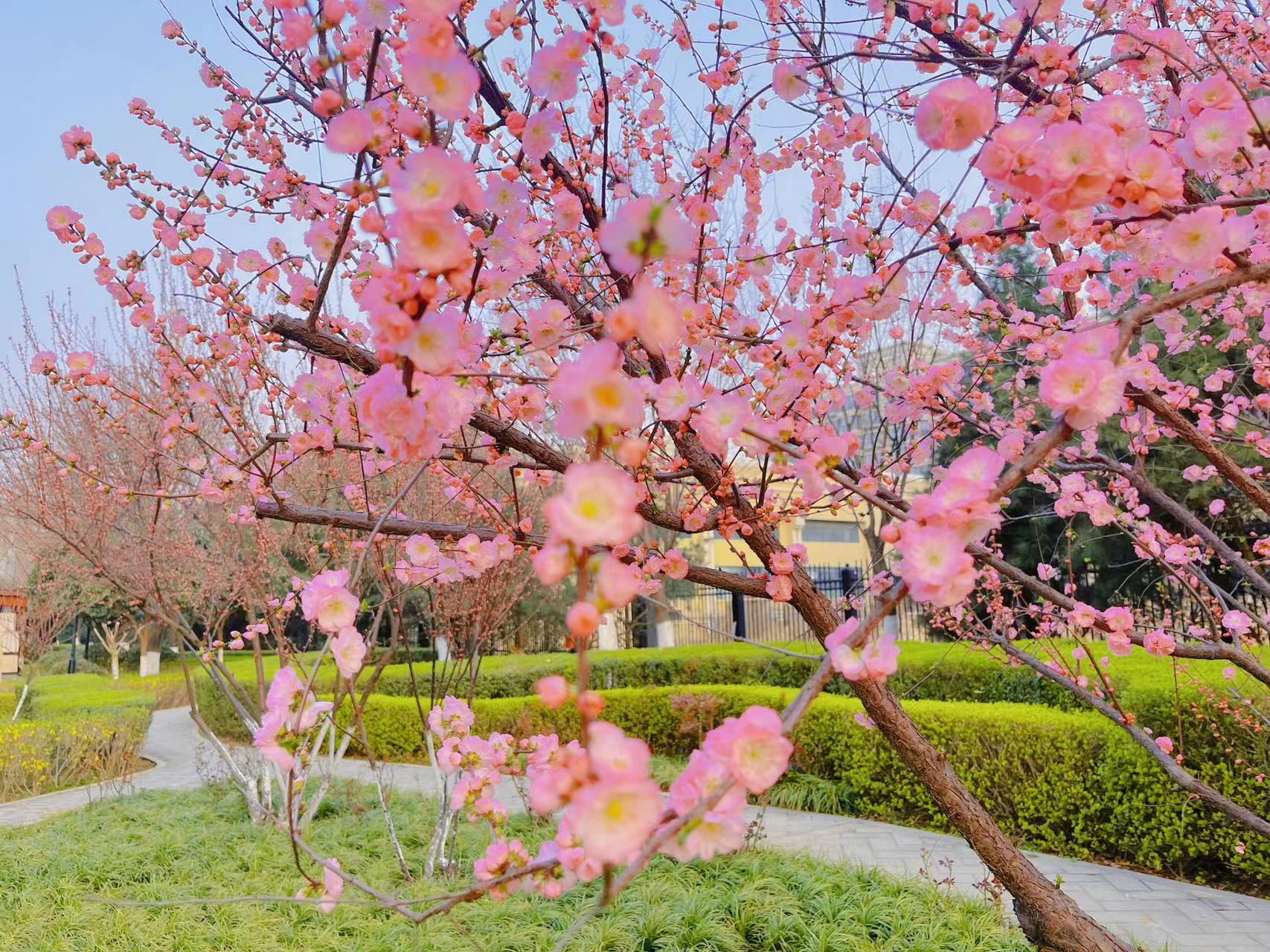 复盘从哪些维度数据去切入,复盘一下这一年的成长与得失