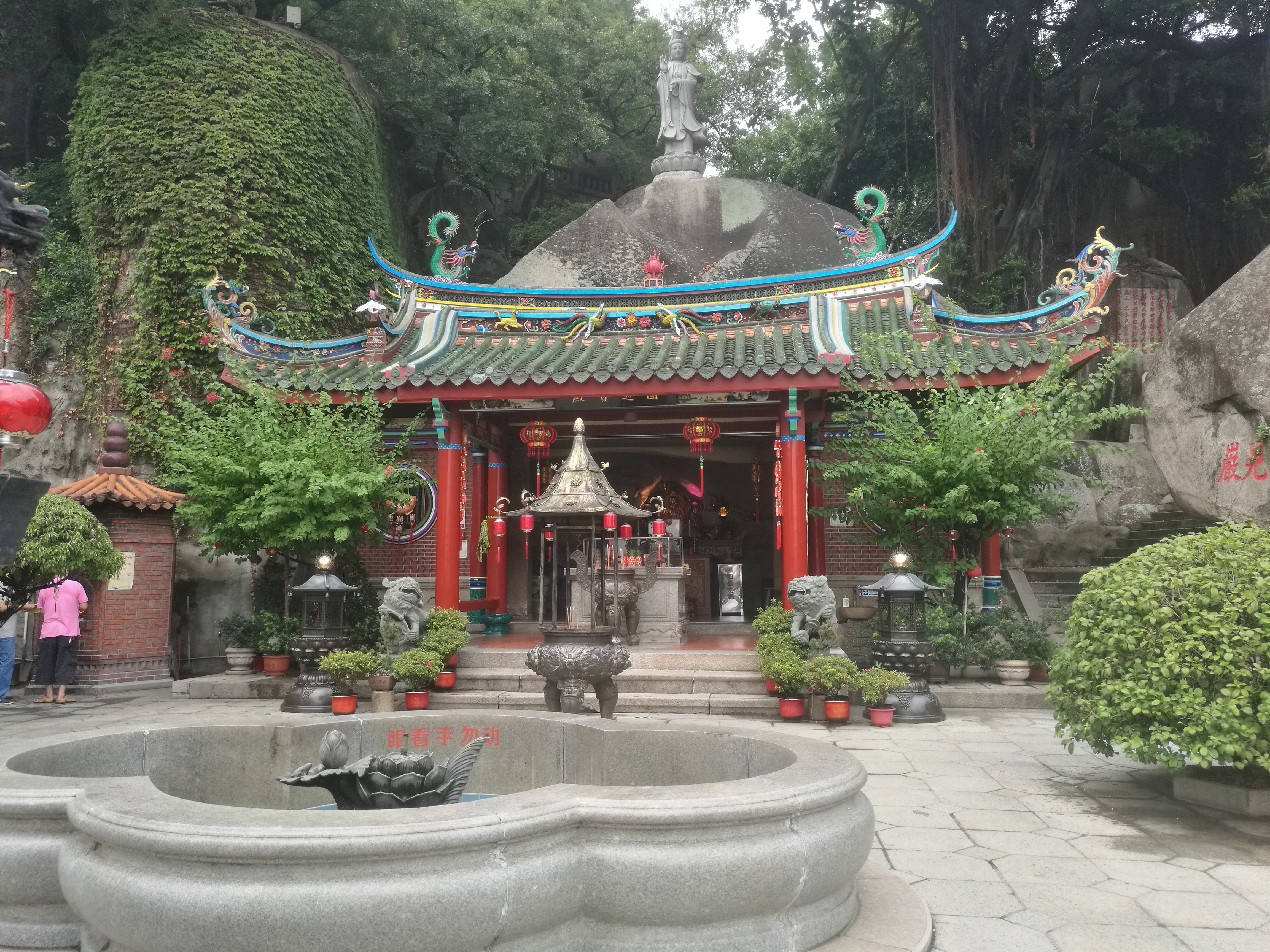 厦门一座来了就不想走的城市,去鼓浪屿不想逛太久