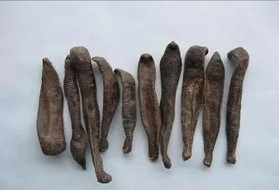 江苏96岁老人仍坚持行医，70年间救人无数，善用毒虫治疗各种顽疾