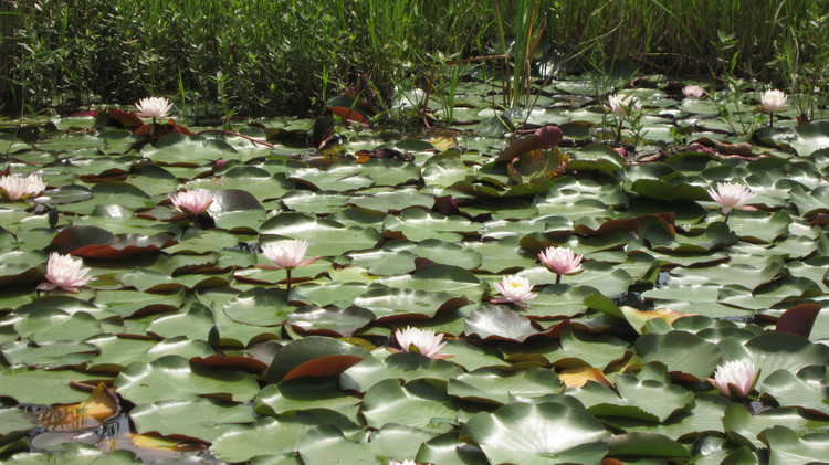 西昌邛海环湖自驾游攻略,川西旅游攻略自驾游西昌出发