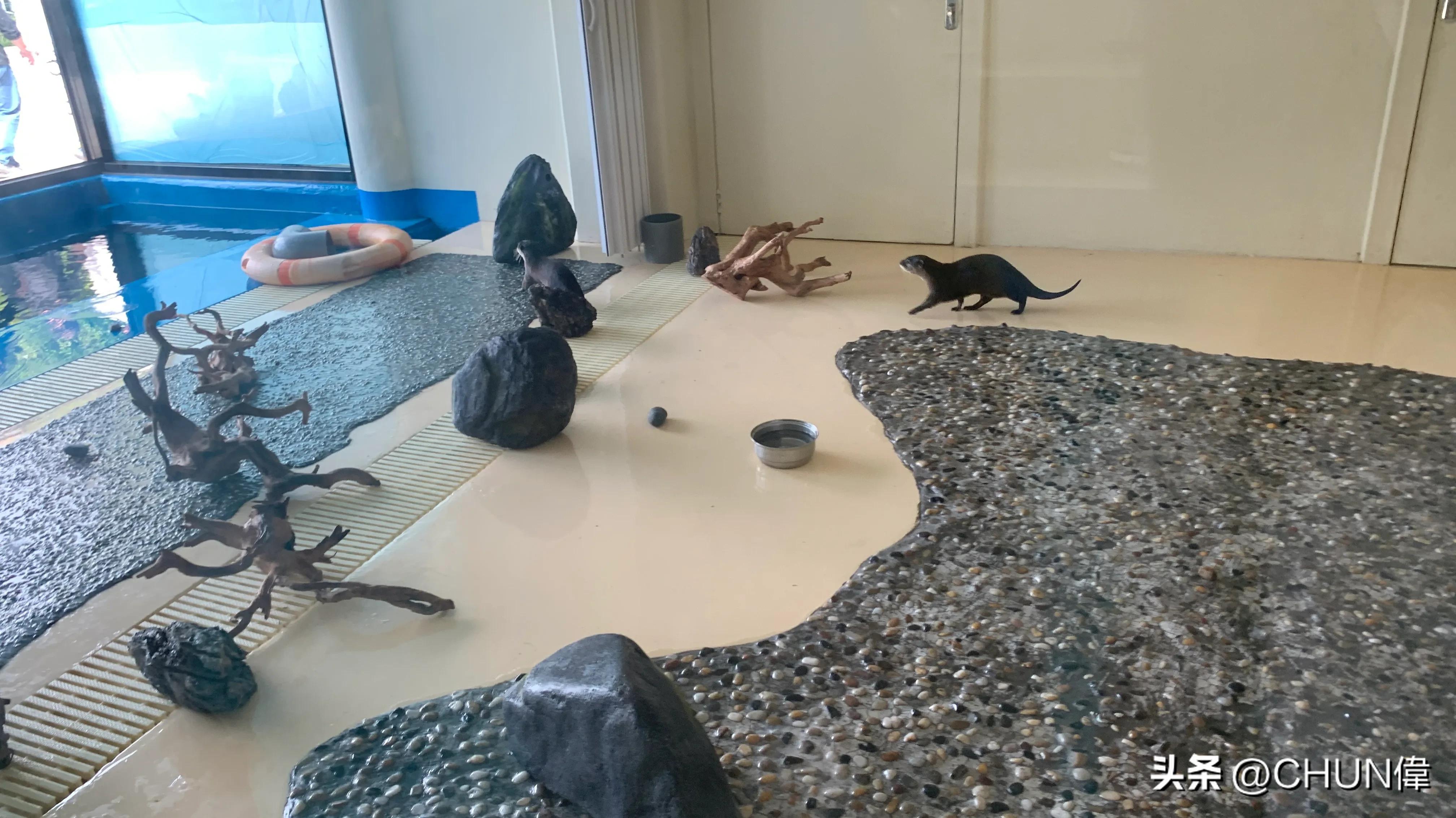 自由行厦门鼓浪屿四天怎么安排,鼓浪屿一日游五一