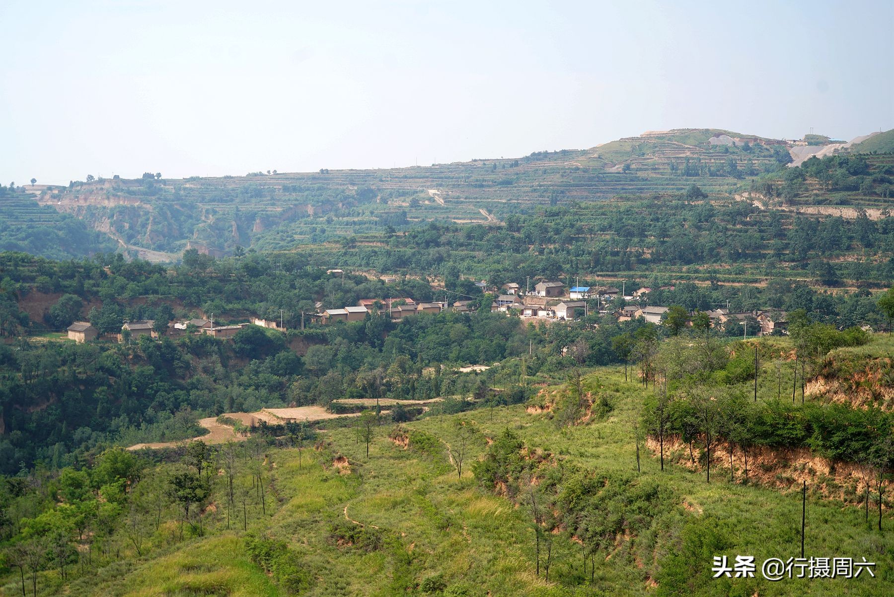 农村大姐养宠物犬,农村大姐养土狗视频