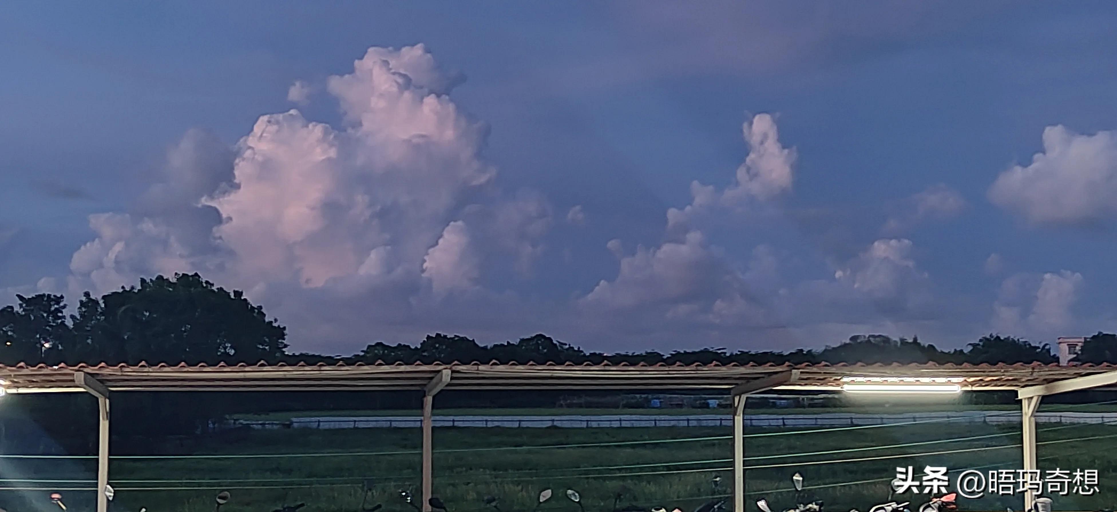 自学中医笔记48天,自学中医养生视频教程