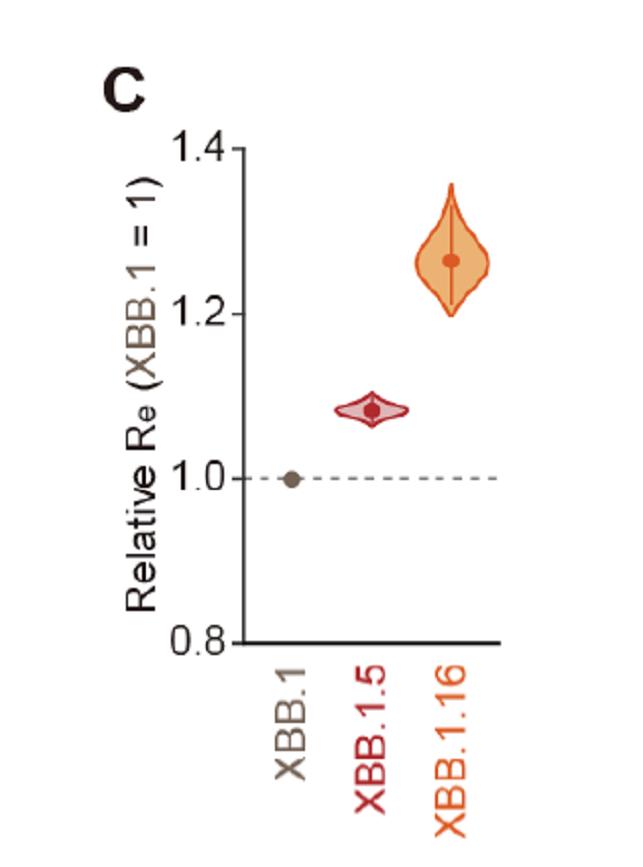 新冠病毒xbb1.5感染后症状,新冠病毒xbb1.16能检测吗