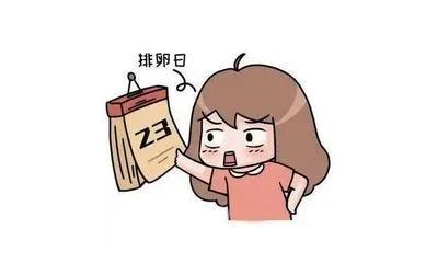 女生生理安全期和排卵期,排卵期后两三天安全期吗