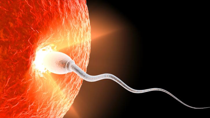 女性节育环不在原来的位置上了,女性节育环一定要从体内取出吗