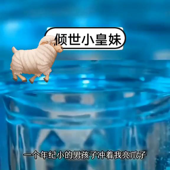 倾世小皇妃第一集解说,倾世小皇妃小说