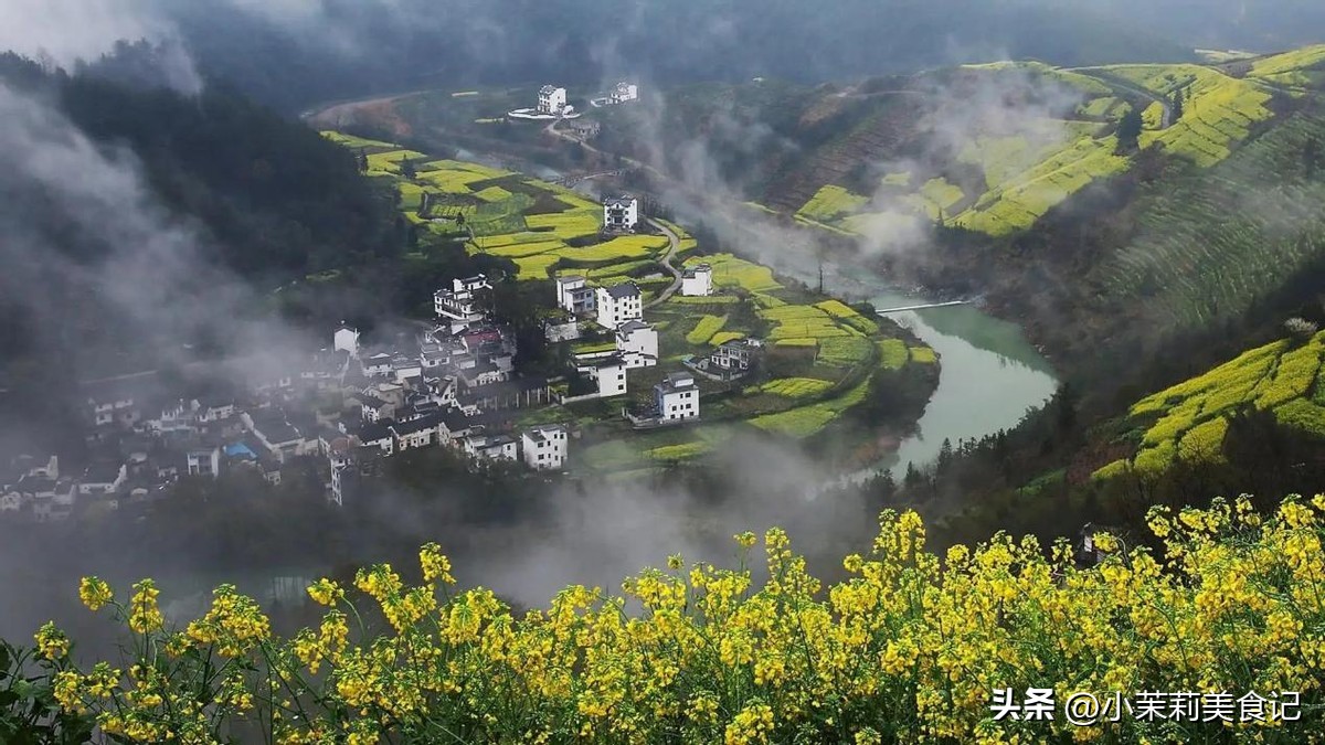 古井贡酒哪一款最好喝,古井贡酒在安徽最畅销是哪一款