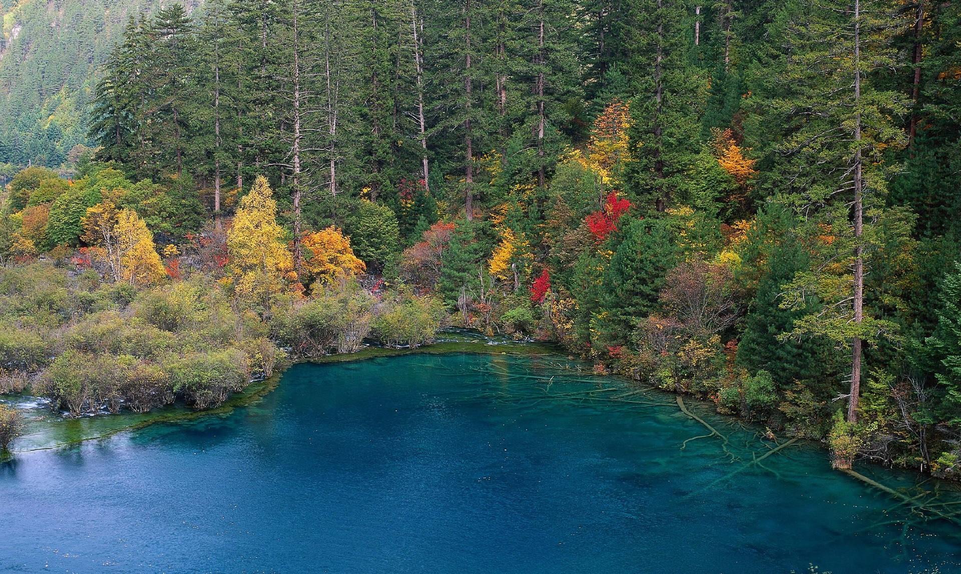 国内最适合毕业旅行的目的地推荐,选择合适的毕业旅行方案