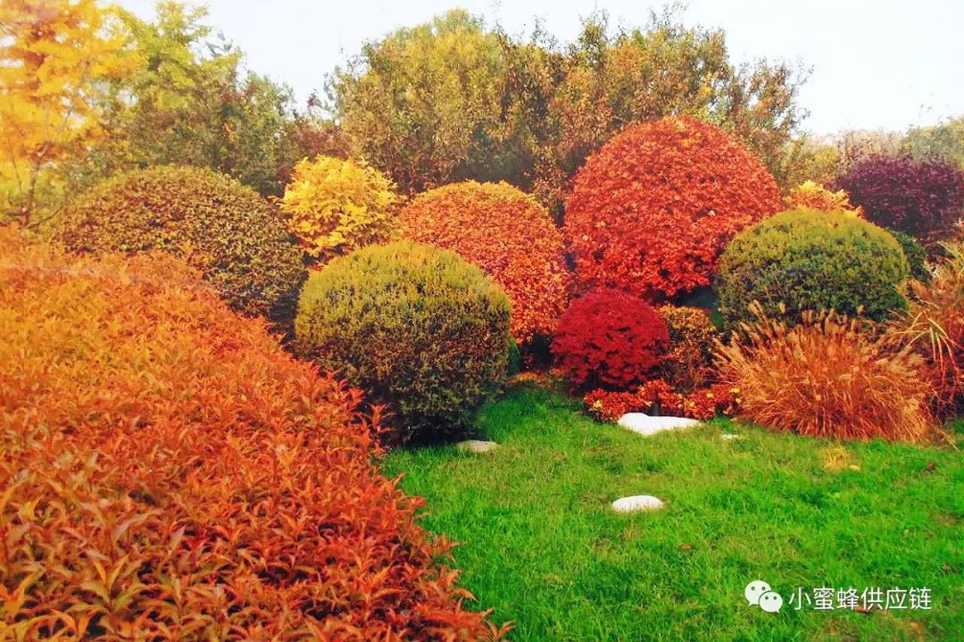 降低中小企业的经营成本,降低企业成本减轻企业负担