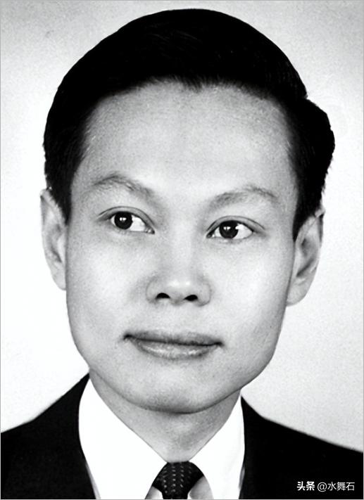 杨振宁四种力,杨振宁人格魅力