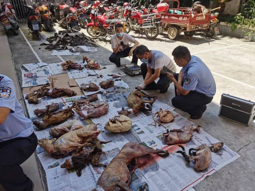 农村哪四种小生意要严查,农村严查什么生意