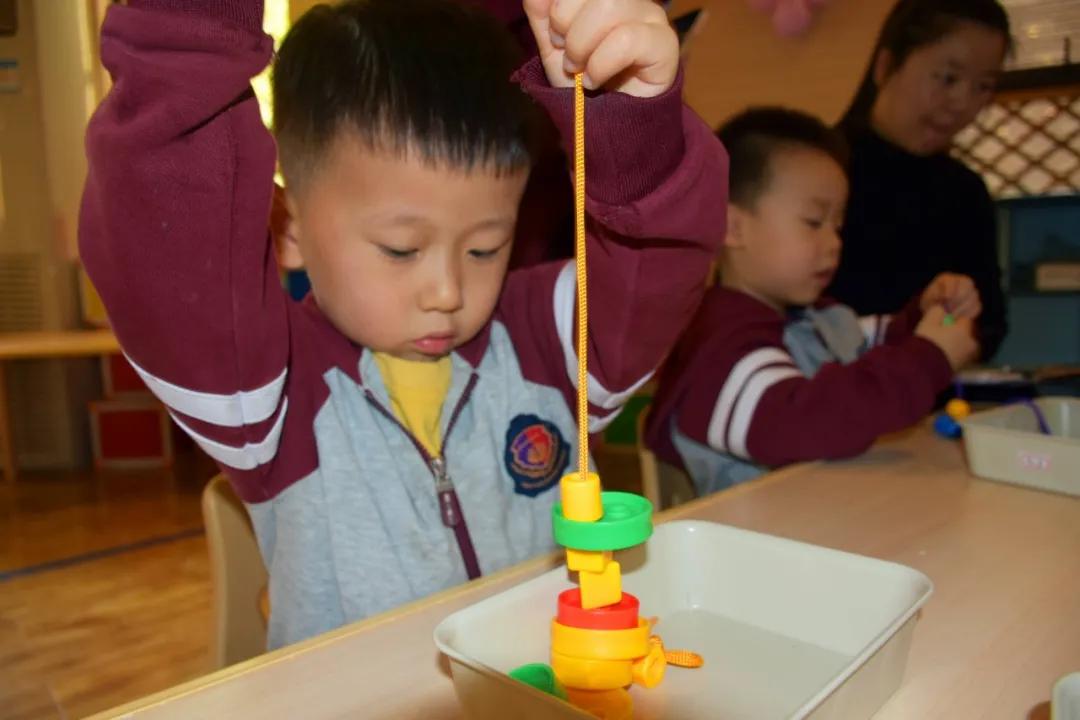 郑州一八中学官网,郑州一八小学