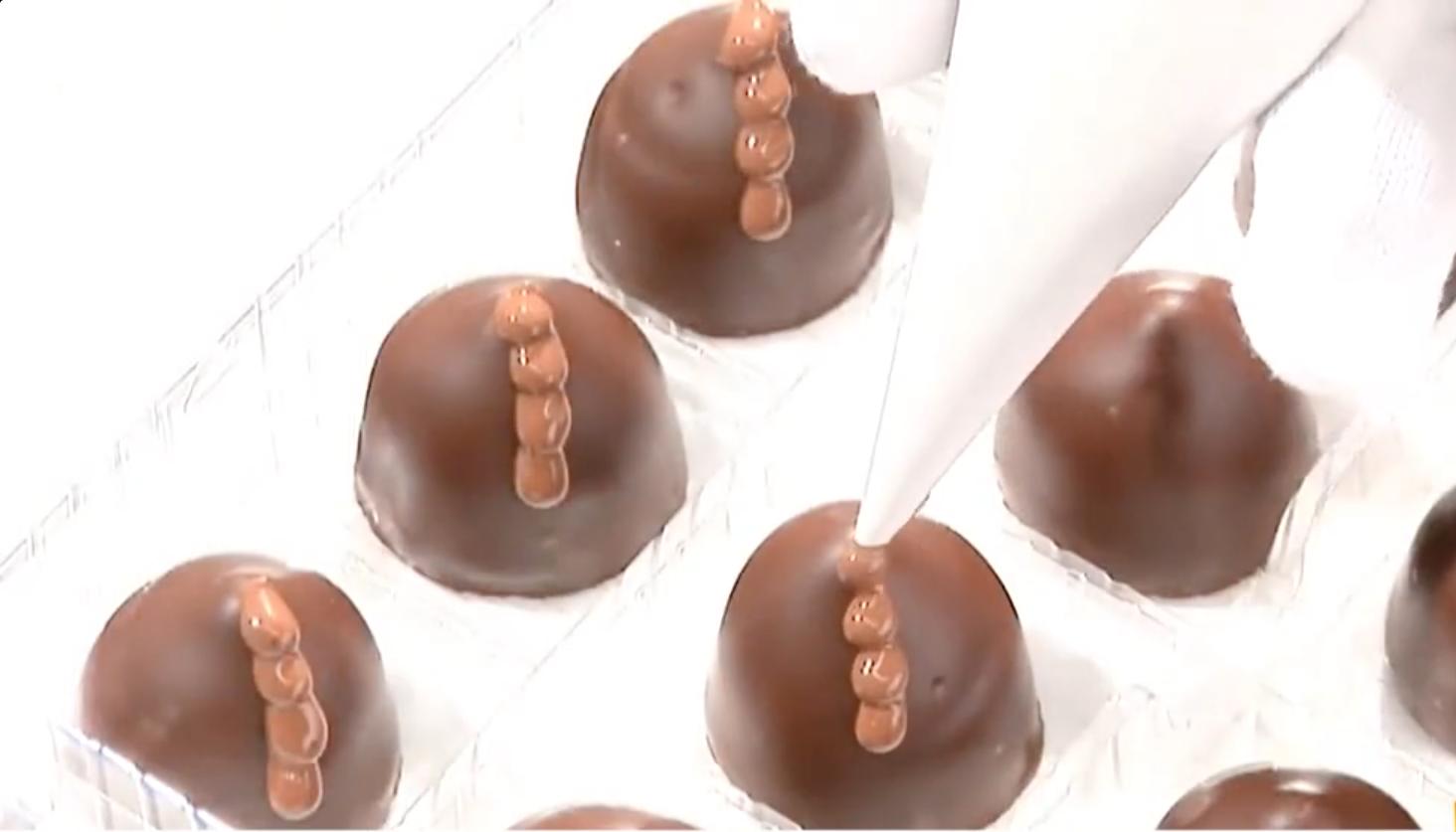 中国巧克力林雨,可可狐巧克力创始人林雨