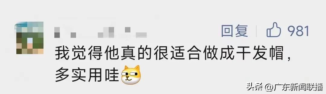 拉伊卜吉祥物可以生产吗,拉伊卜吉祥物进球