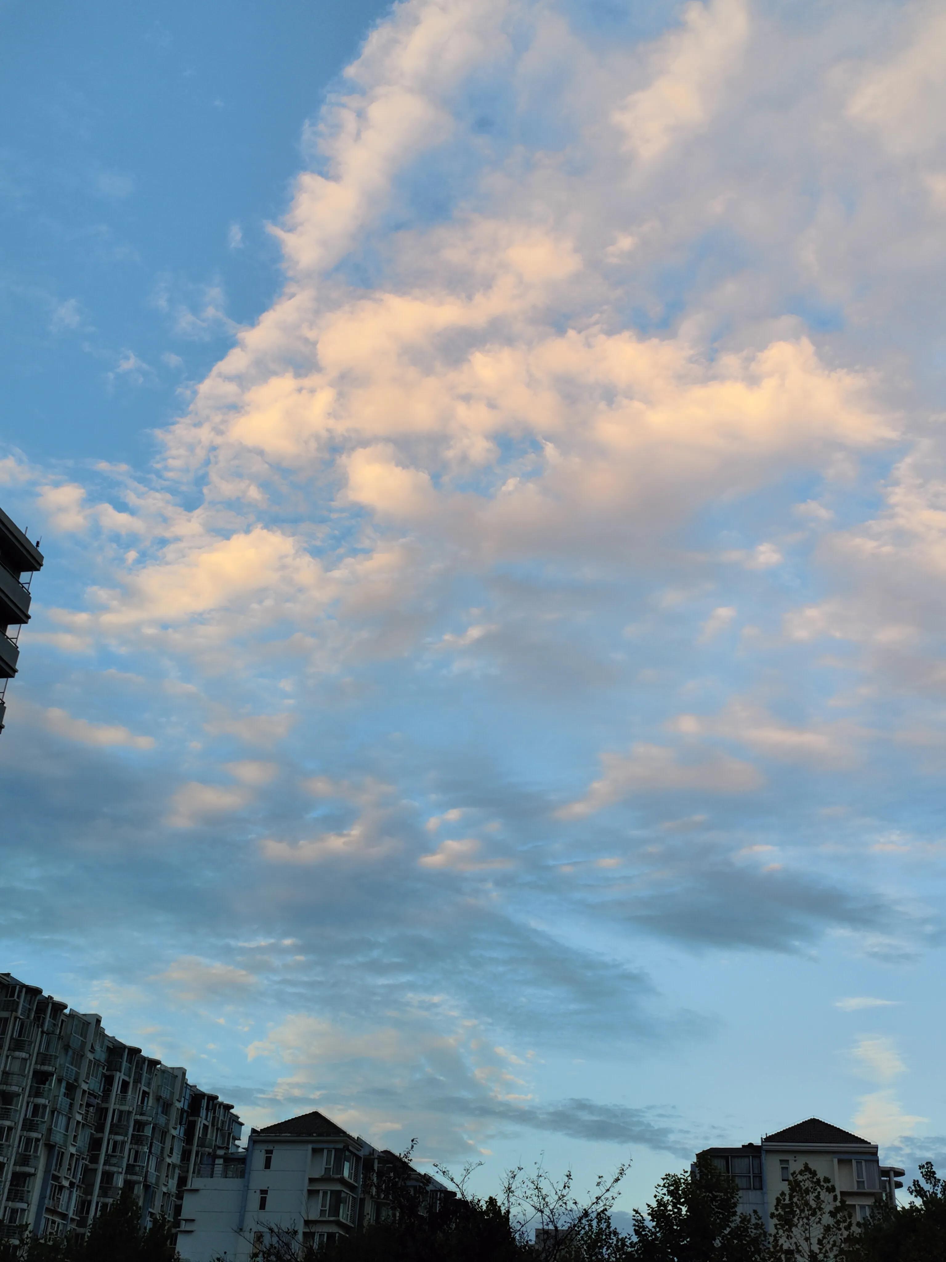 南京理工大学怎么看文献,南京理工大学专业怎么样