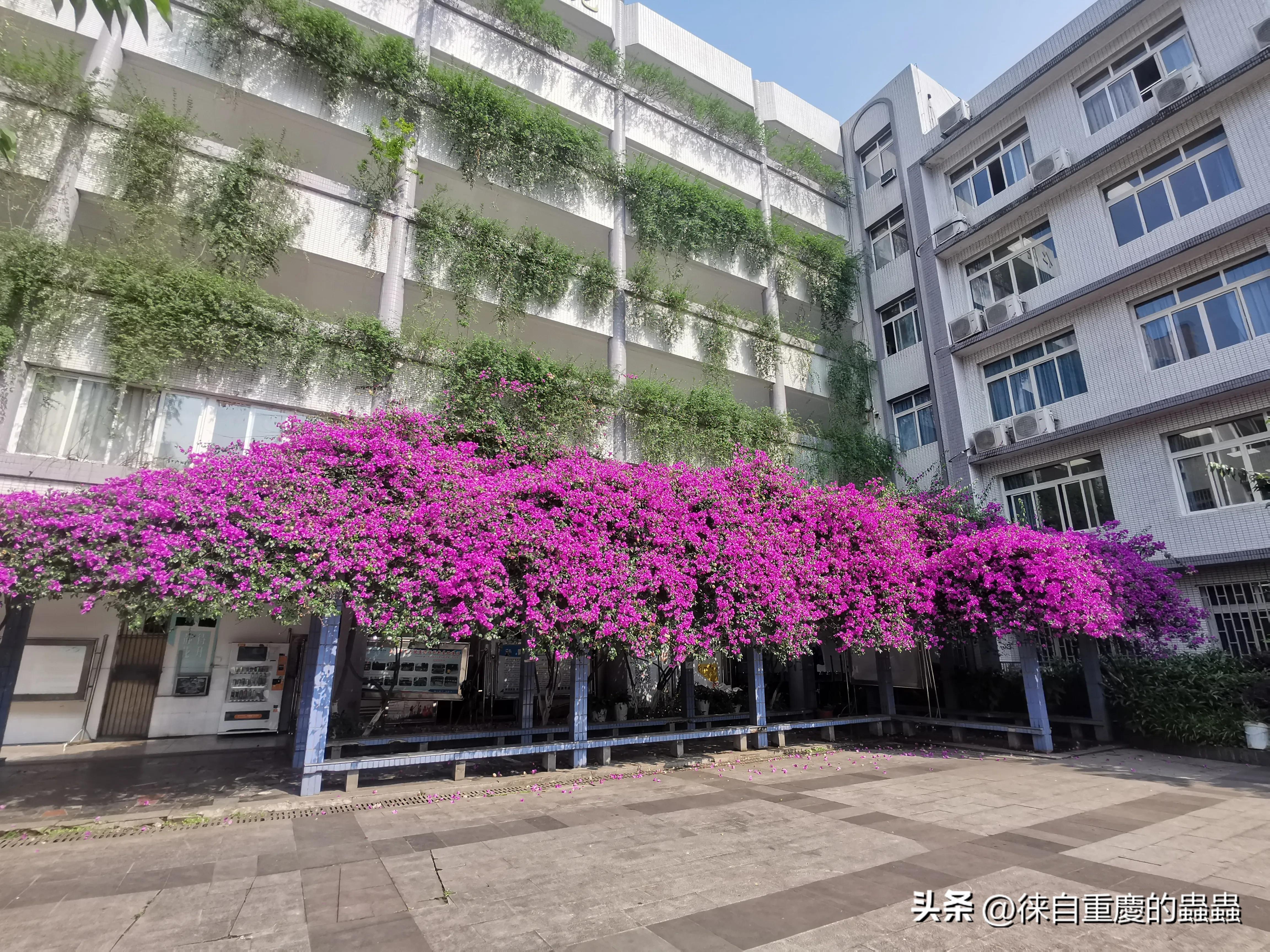 漫漫人生路--差点在录像厅里*身失**