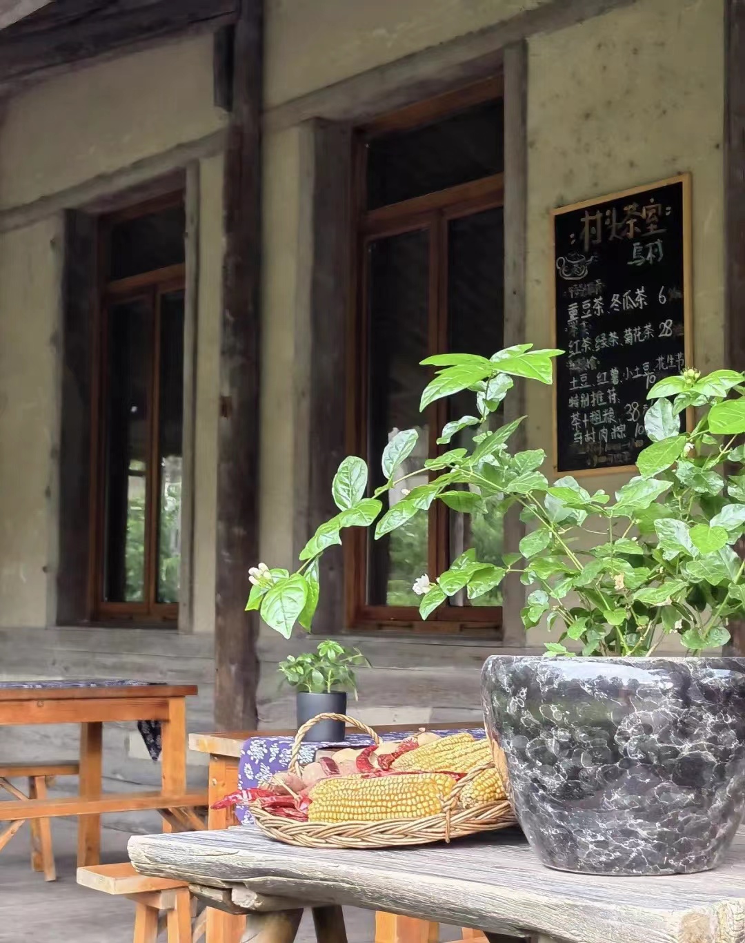 终于去了“中国本土版ClubMed”,乌村也太好玩了吧