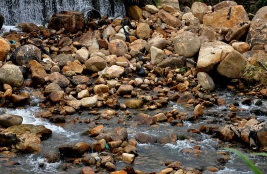 夏天蛇进屋怎么处理,夏天蛇到房间里怎么赶出来