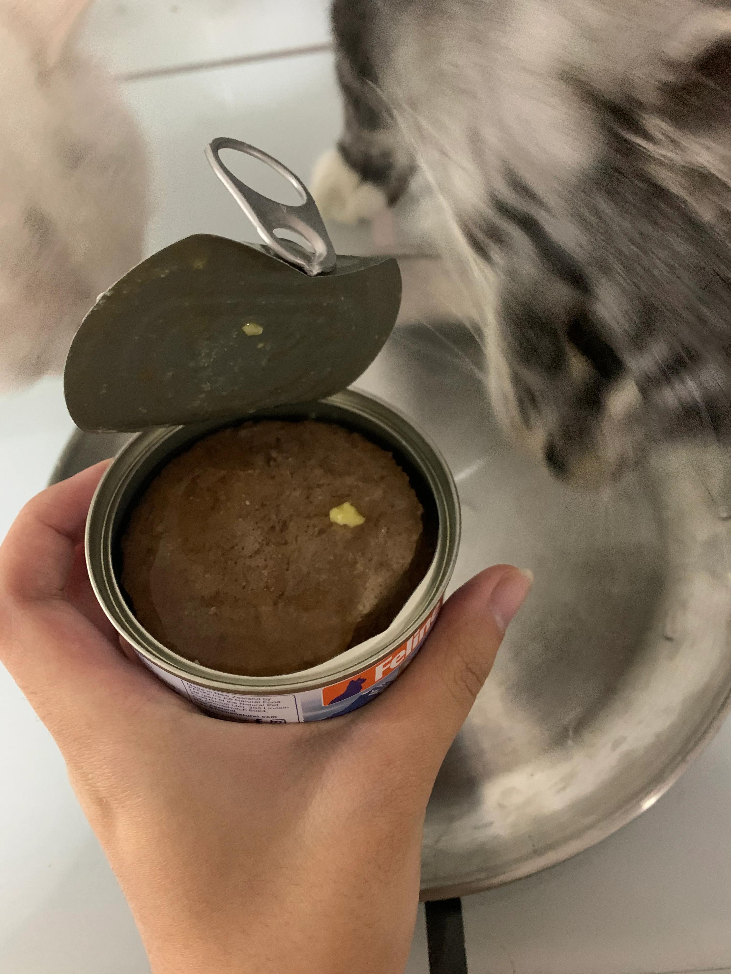 k9猫粮红肉,k9猫粮缺点