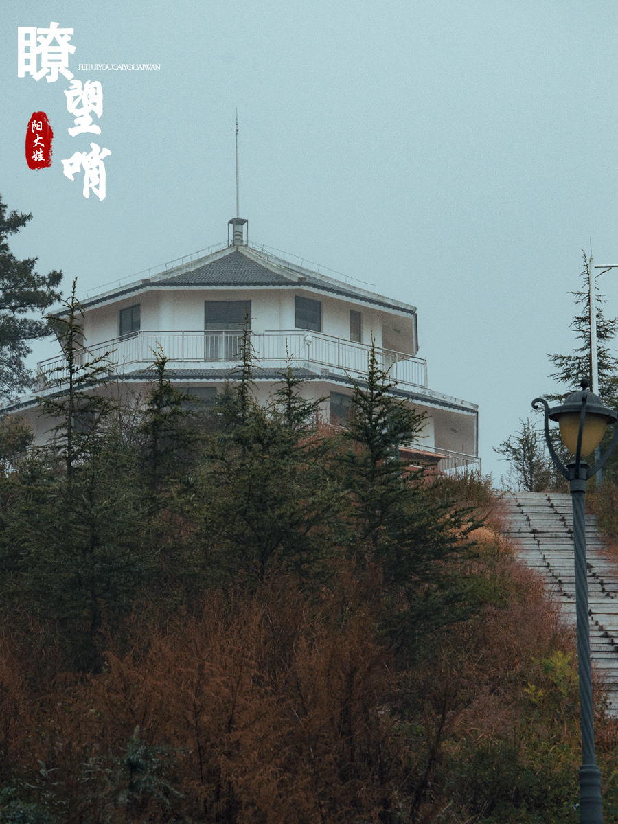 海口世纪公园游玩攻略一日游,昆明海口石城公园路线图