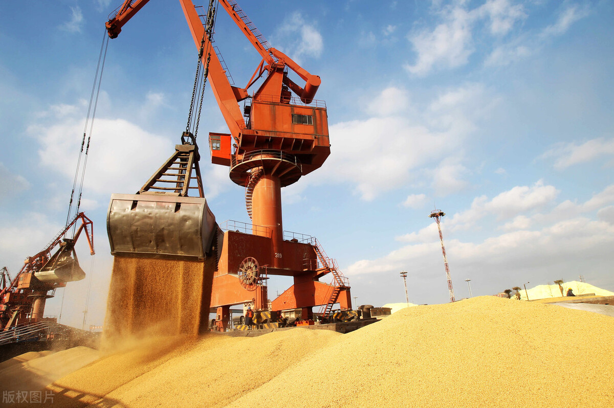 大豆破位下跌了吗,今天大豆行情是涨还是跌