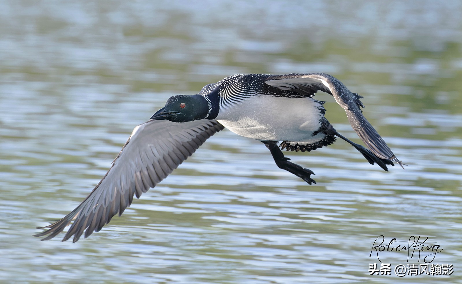 尼康d850拍照有多强,摄影器材篇尼康d850