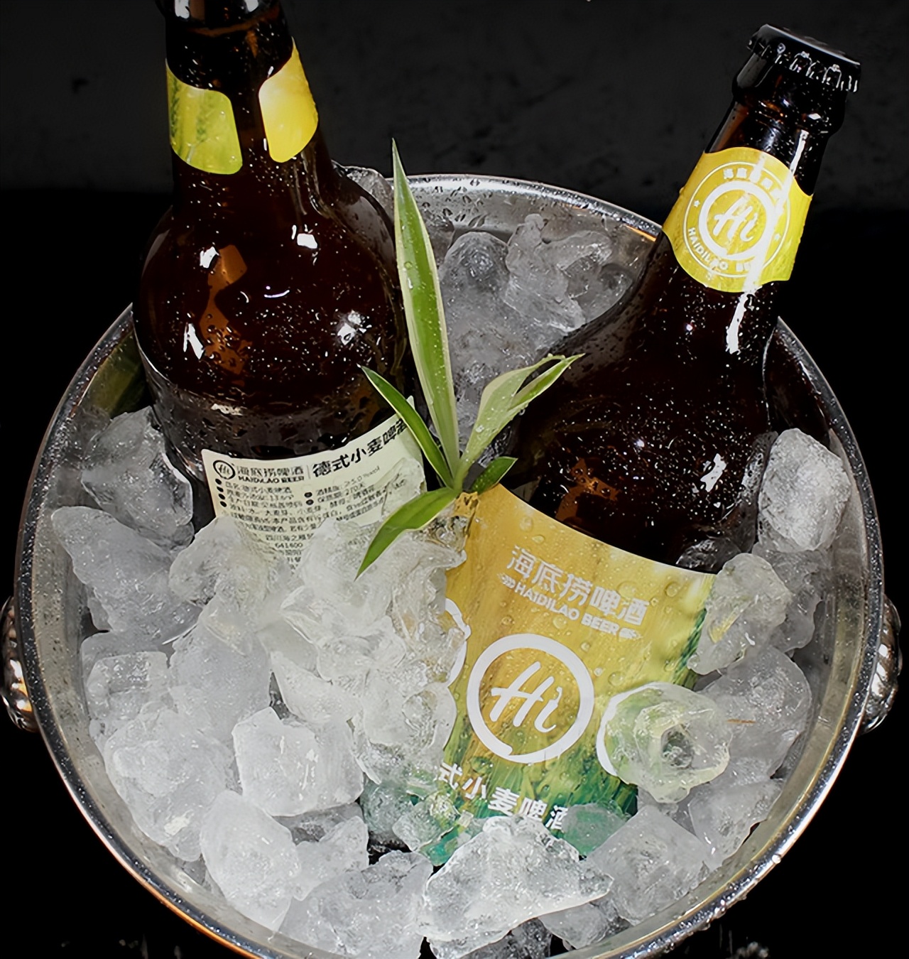 入门精酿啤酒推荐,精酿啤酒推荐100款