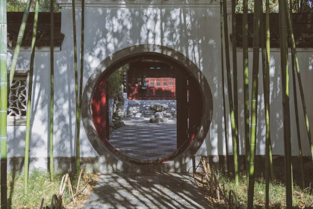 竹枝诗句大全100首,竹枝词诗句大全