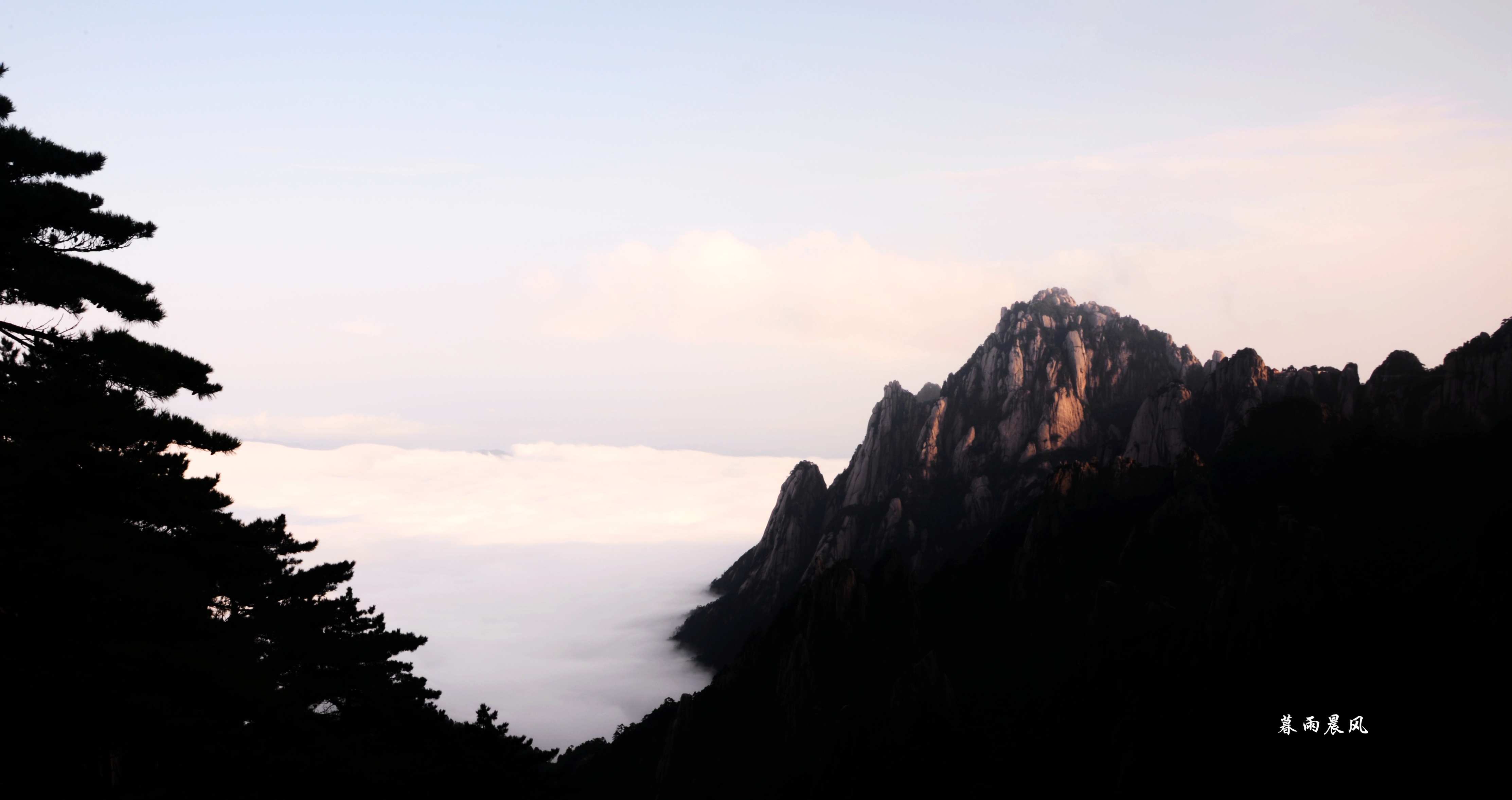 2014年黄山游,2014黄山银毫