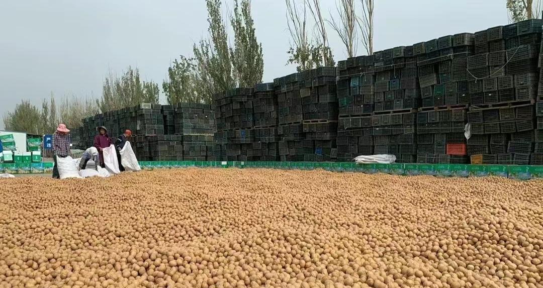 半年能挣20万的副业,月入百万的小商机