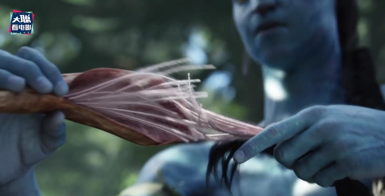 阿凡达解密,阿凡达2详细攻略大全